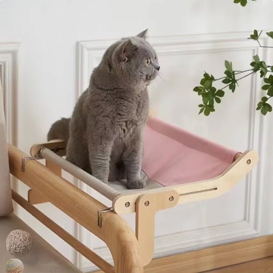 chat gris sur hamac chat