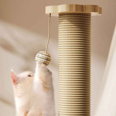 chat joue avec balle du griffoir pour chat multifonction