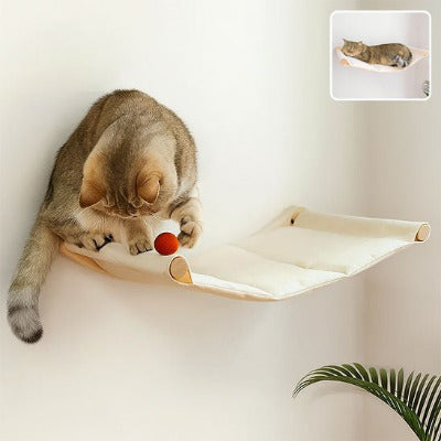 chat joue sur hamac mural