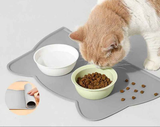 chat mange dans des bols sur tapis alimentation