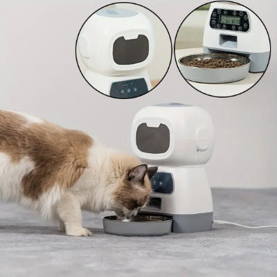 chat mange dans le Distributeur de croquettes pour chat programmable - Nono et deux images