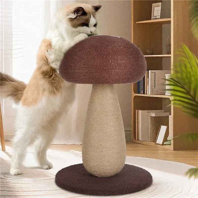 chat pose ses pattes sur la tête du Griffoir chat, champignon Shiitake 