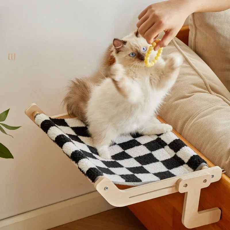 chat qui joue sur hamac chat