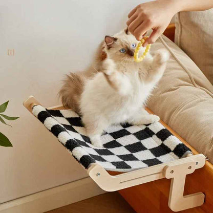 chat qui joue sur hamac chat