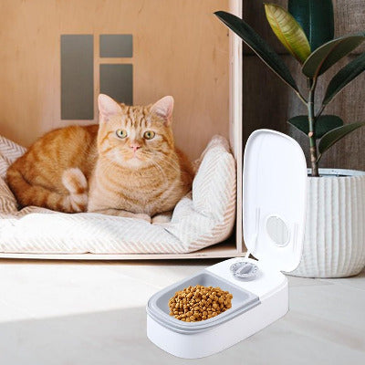 chat roux couché vers le Distributeur de croquettes pour chat programmable 