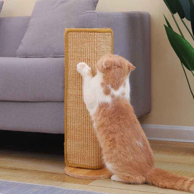 chat roux gratte le Tapis pour griffe chat multi - usages 