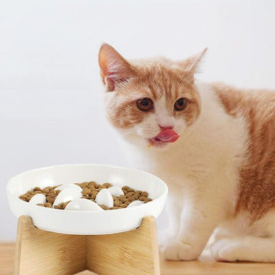 chat savoure ses croquettes dans sa Gamelle anti glouton chat Céramique Poissons