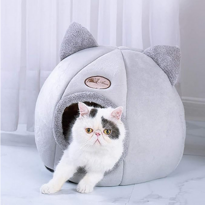 chat sortant niche chat