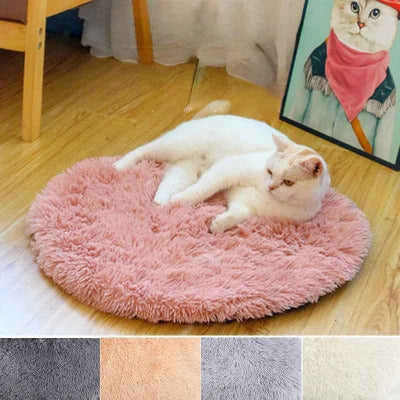 chat sur tapis de lit chat peluche rose quatre coloris