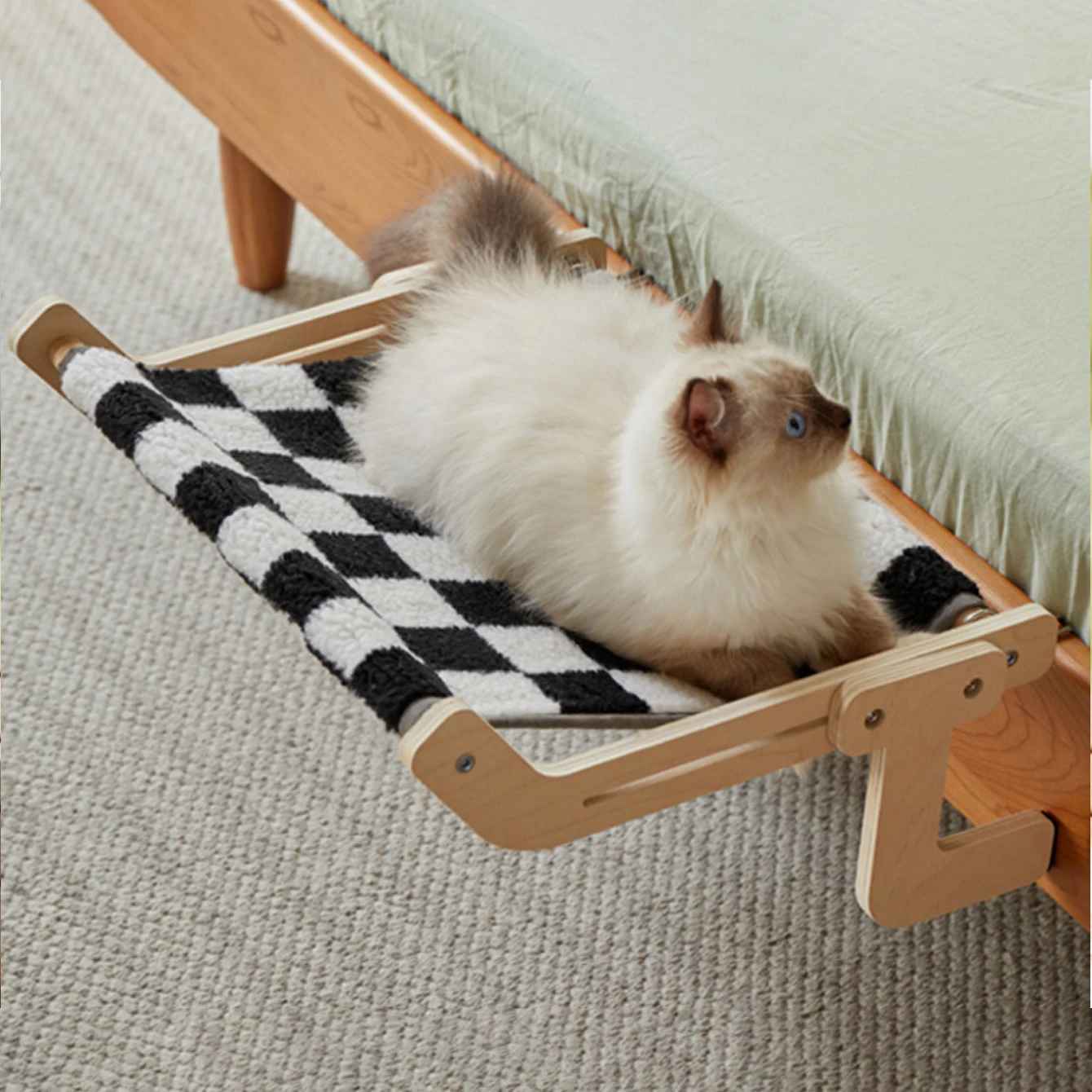 chat sur hamac chat carreaux