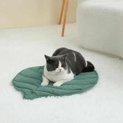 chat sur tapis de lit pour chat feuille au sol