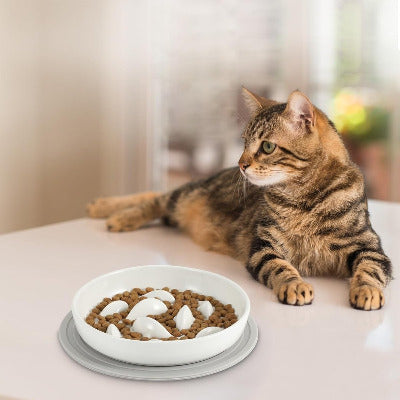 chat tigré couché à côté de sa Gamelle anti glouton chat Céramique Poissons 