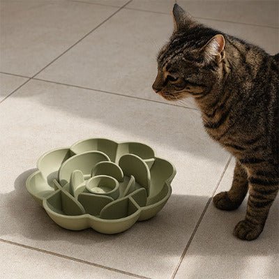 chat tigré devant la Gamelle pour chat anti glouton silicone fleur 