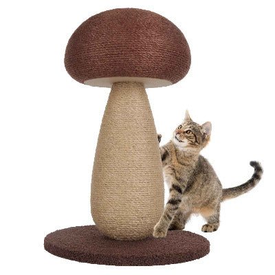 chat tigré gratte sur son Griffoir chat, champignon Shiitake 
