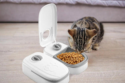 chat tigré mange dans le Distributeur de croquettes pour chat programmable 