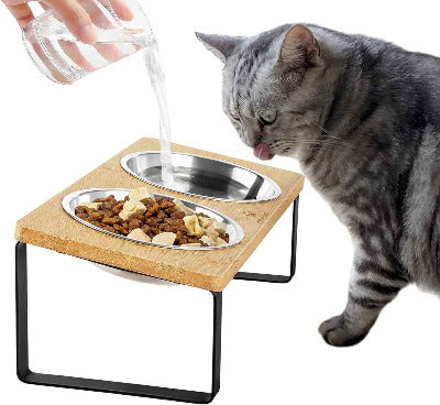 chat tigré mange dans Gamelle chat surélevée 2 bols 
