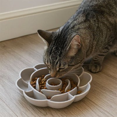 chat tigré mange dans Gamelle pour chat anti glouton silicone fleur 