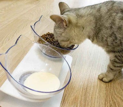 Gamelle pour chat | Tête de chat Ergonomique -chat mange croquettes