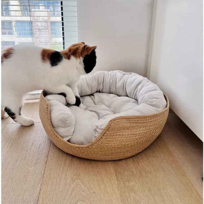 chat va dans son panier chat bambou