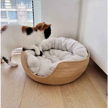 chat va dans son panier chat