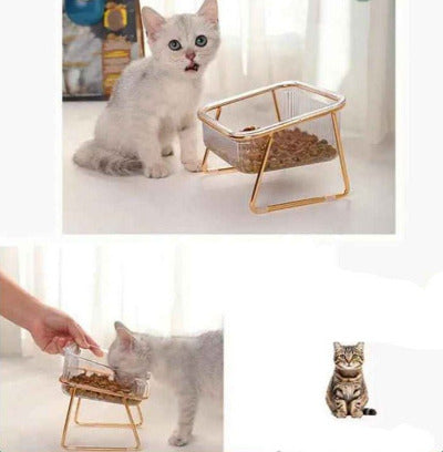 chaton blanc mange dans la Gamelle chat surélevée  Doré & Transparent