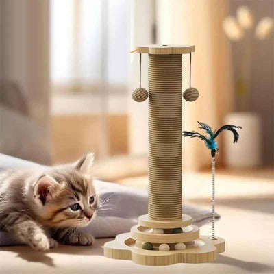 chaton jouant griffoir pour chat multifonction