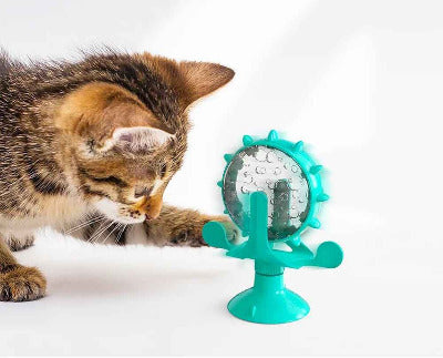 chaton joue avec le Distributeur Jouet de croquettes pour chat Grande roue 