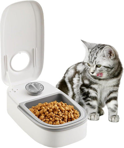 chaton tigré mange dans le Distributeur de croquettes pour chat programmable 