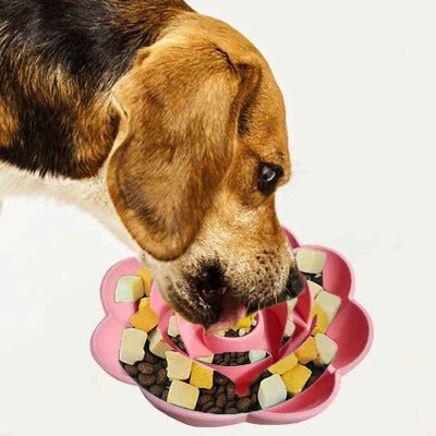 chien mange dans Gamelle anti glouton silicone fleur 
