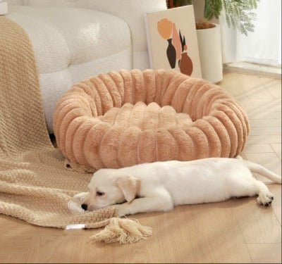 chiot couché à côté de son Lit pour chat moelleux forme beignet 