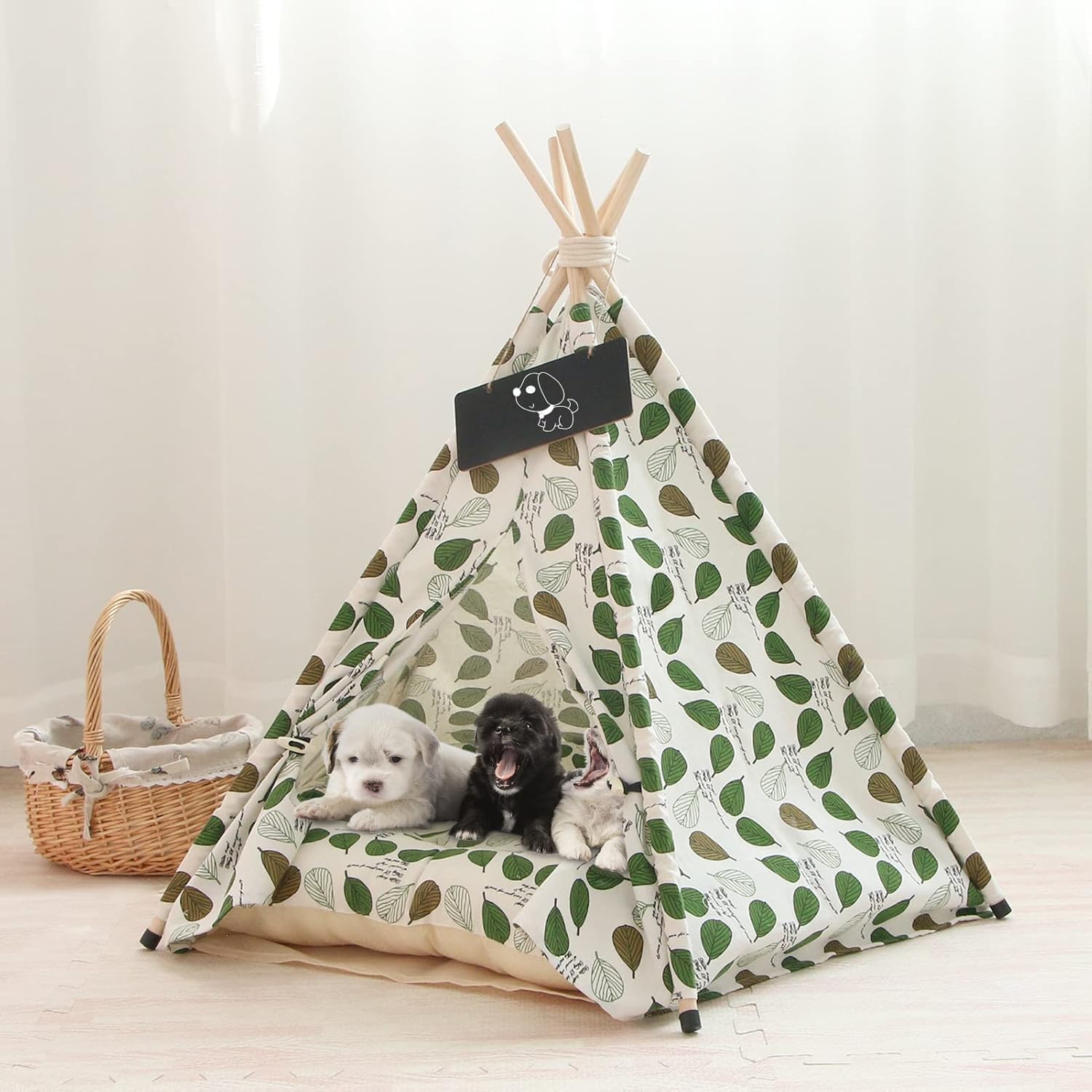 chiots dans tente tipi chat
