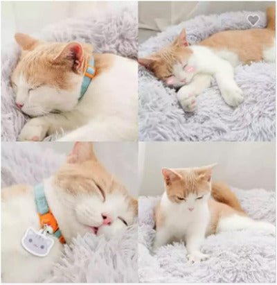Coussin à Chat | Donut Confort - Chat - Mellow