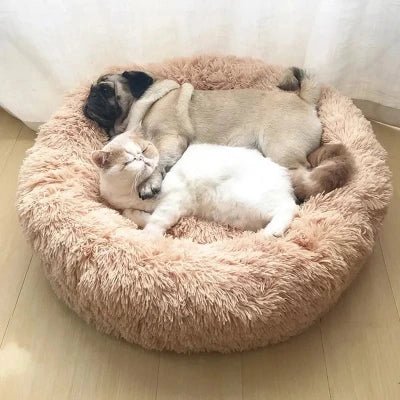 Coussin à Chat | Donut Confort - Chat - Mellow