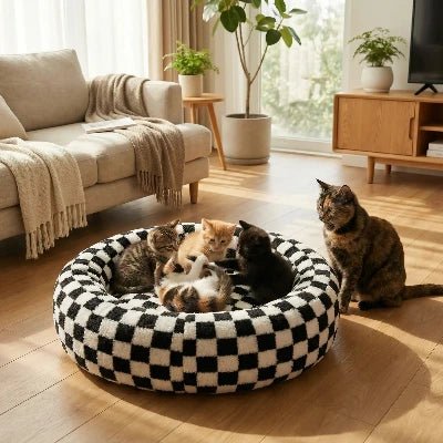 Coussin Chat | Damier - Chat - Mellow