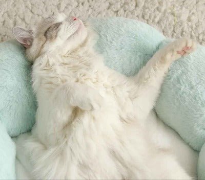 Coussin moelleux chat / Motif floral - Chat - Mellow