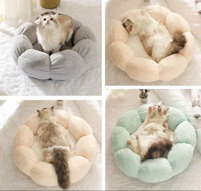 Coussin moelleux chat / Motif floral - Chat - Mellow