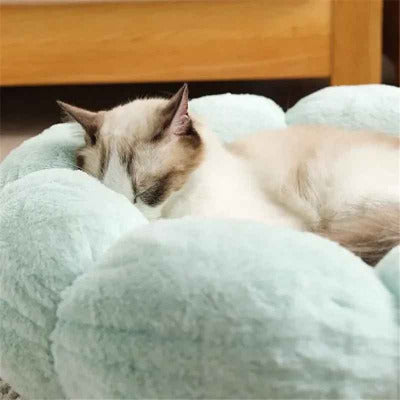 Coussin moelleux chat / Motif floral - Chat - Mellow