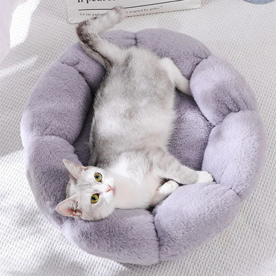 Coussin moelleux chat / Motif floral - Chat - Mellow