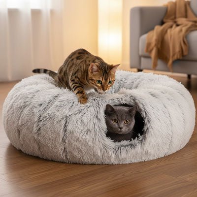 Coussin pour chat / Donut avec tunnel de jeu - Chat - Mellow
