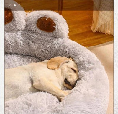 Coussin pour chat | Patte d'ourson - Chat - Mellow