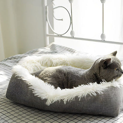 Coussin pour chat transformable avec un chat gris à l'intérieur