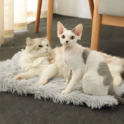 Coussin pour chat transformable en position tapis