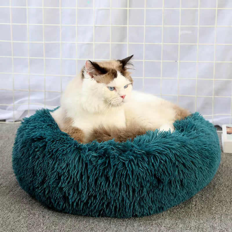 coussin vert confort