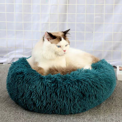 coussin vert confort