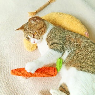 Coussins Chat, Oreiller ergonomique | ComfortBanana -chat qui joue