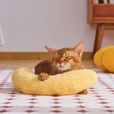 chat roux dort sur le Coussin Chat, Oreiller ergonomique | ComfortBanana -