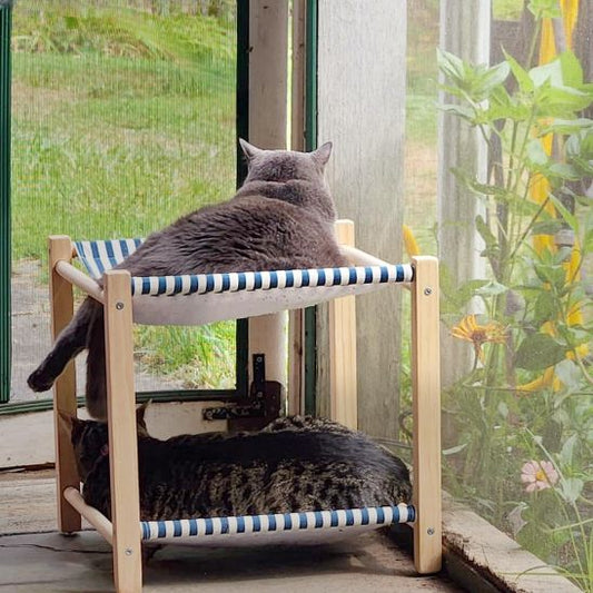 deux chats dorment sur hamac pour chat