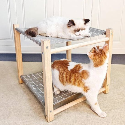 deux chats jouant hamac pour chat gris