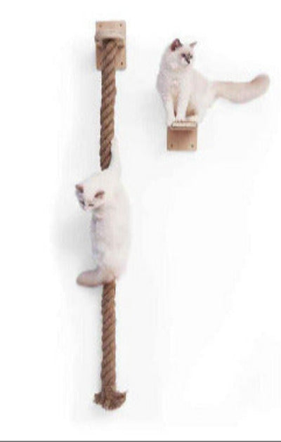 deux chats jouent sur le Griffoir pour chat corde murale 