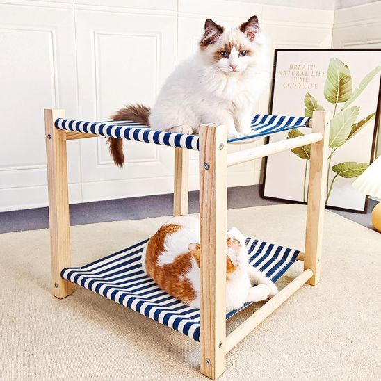 deux chats resposent sur hamac pour chat bleu